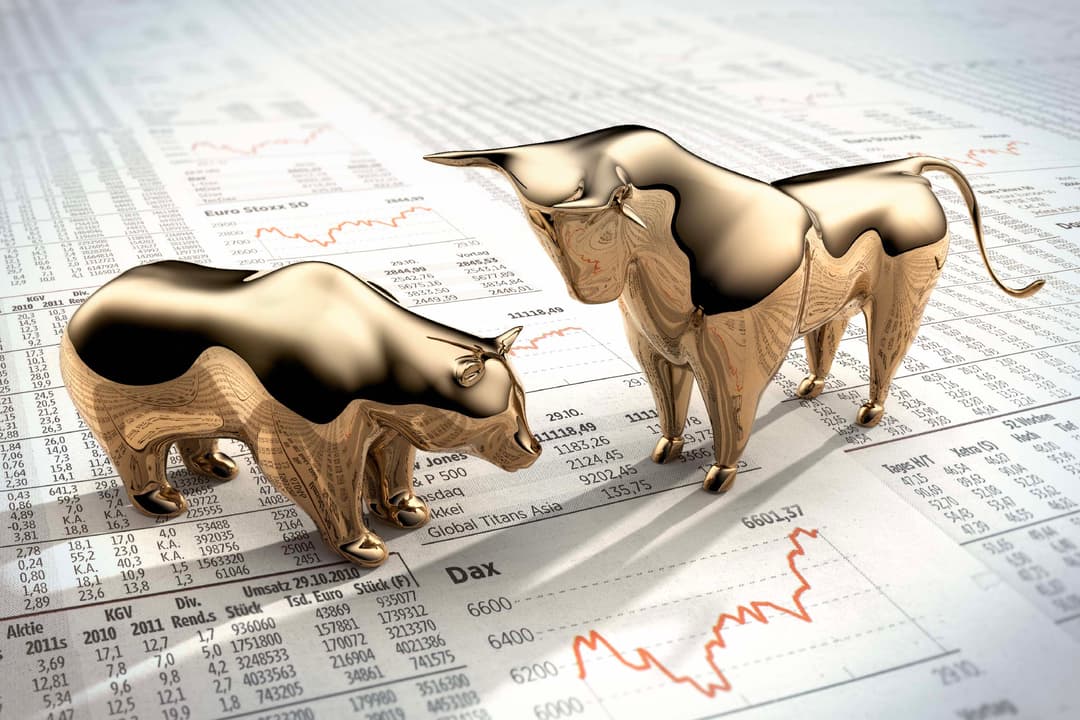 Equity (Shares)