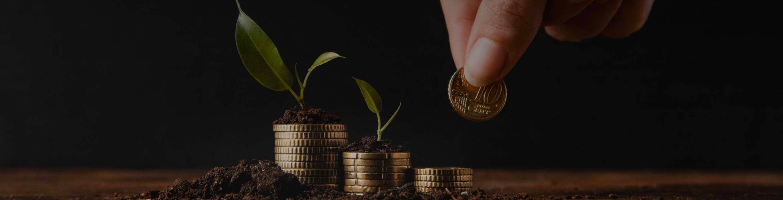 Traditional Investments